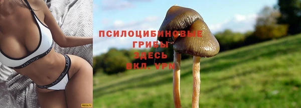 MDMA Богданович